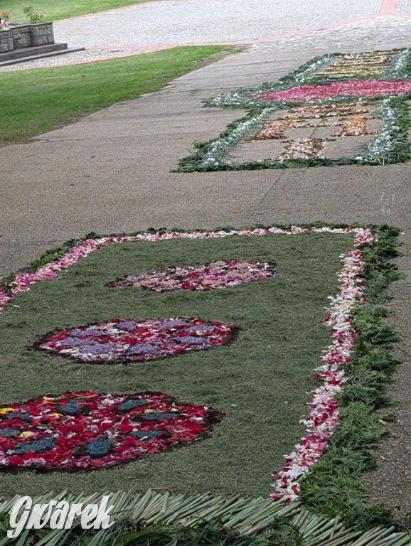 Procesja Bożego Ciała w Piekarach Śląskich