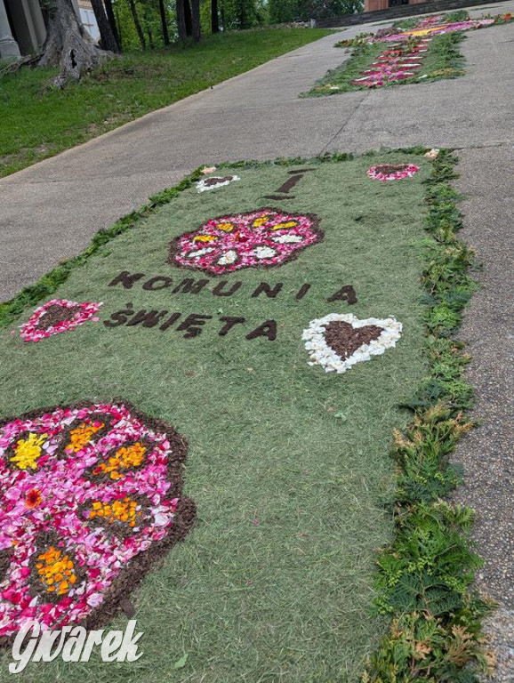 Procesja Bożego Ciała w Piekarach Śląskich