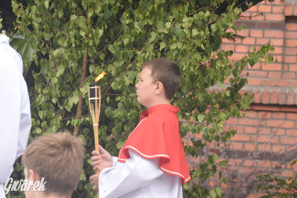 Boże Ciało w Tarnowskich Górach: Modlitwa o...