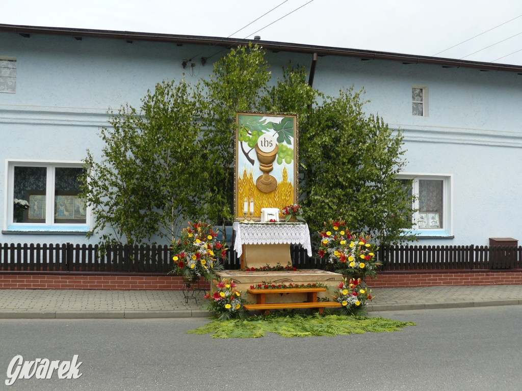 Procesja Bożego Ciała w Żyglinie [ZDJĘCIA]