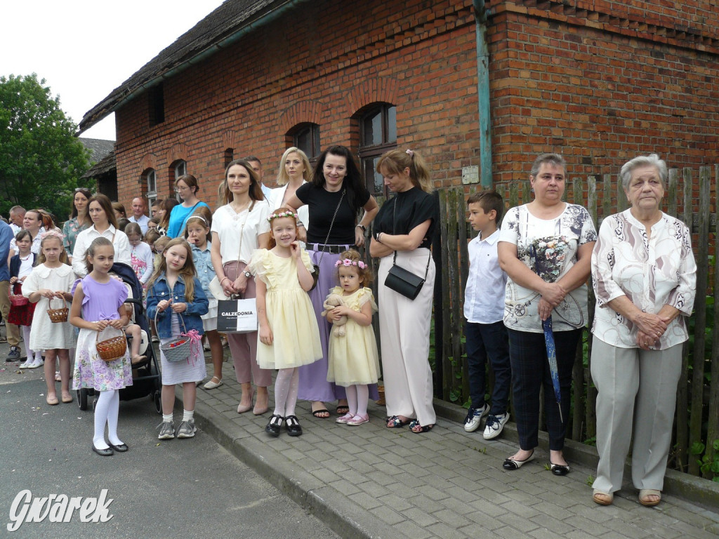 Procesja Bożego Ciała w Żyglinie [ZDJĘCIA]