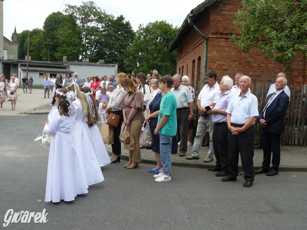 Procesja Bożego Ciała w Żyglinie [ZDJĘCIA]