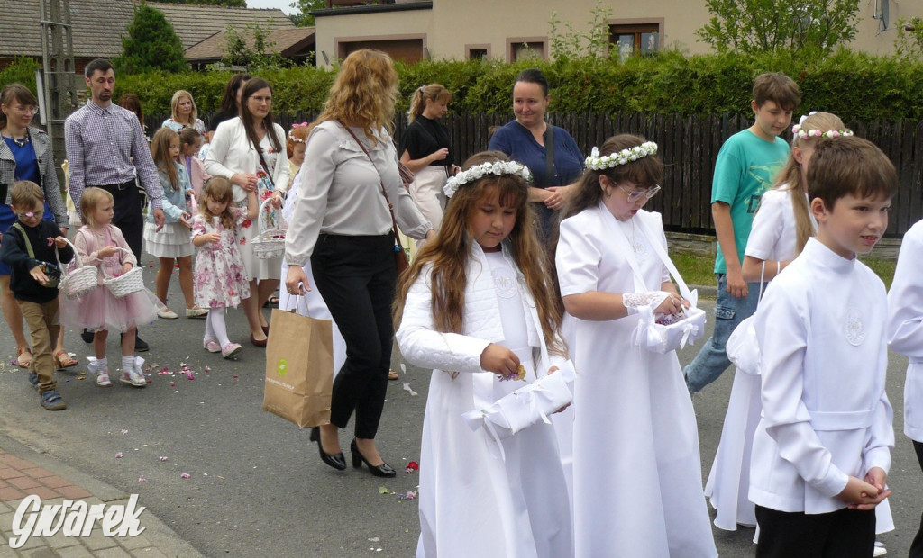 Procesja Bożego Ciała w Żyglinie [ZDJĘCIA]