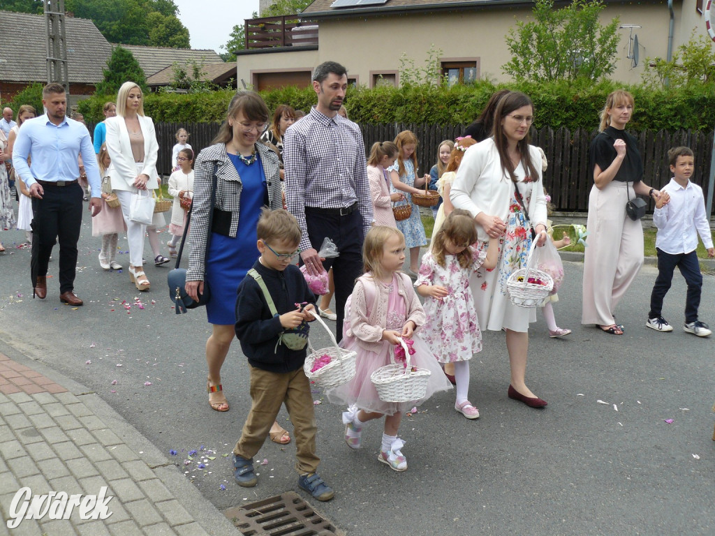 Procesja Bożego Ciała w Żyglinie [ZDJĘCIA]