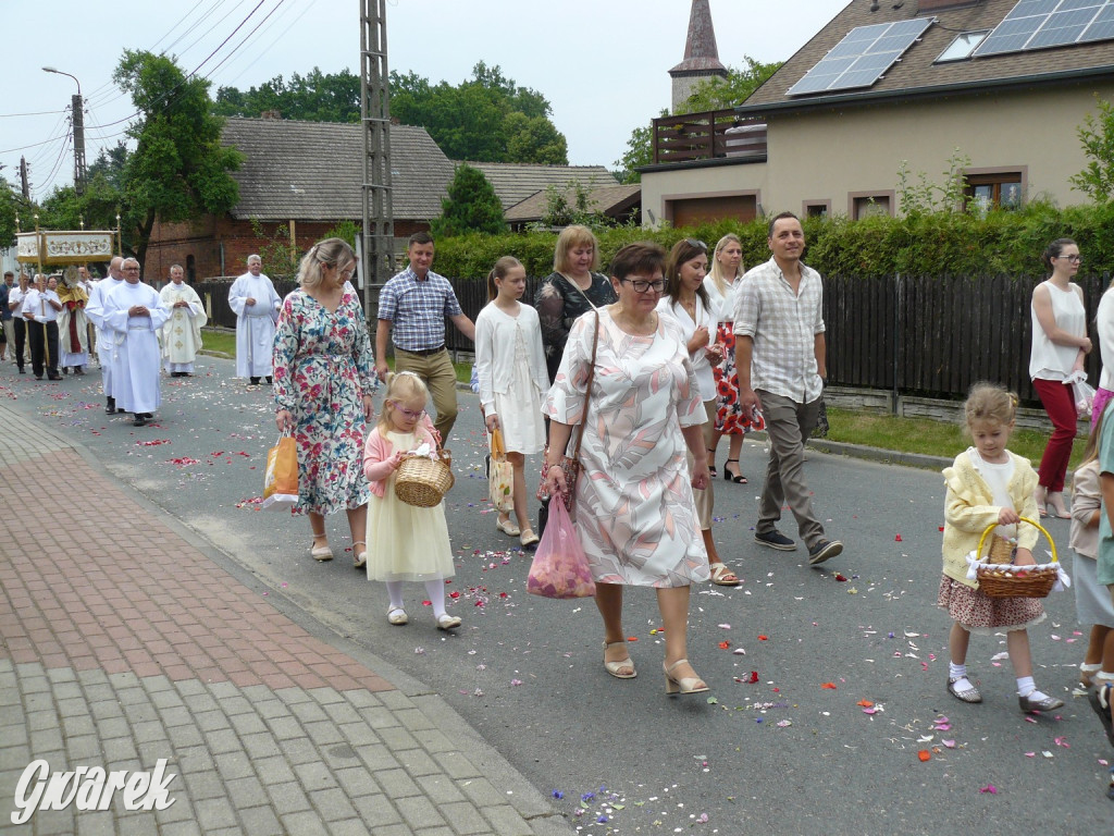 Procesja Bożego Ciała w Żyglinie [ZDJĘCIA]