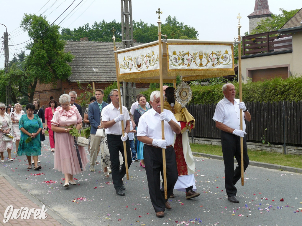 Procesja Bożego Ciała w Żyglinie [ZDJĘCIA]