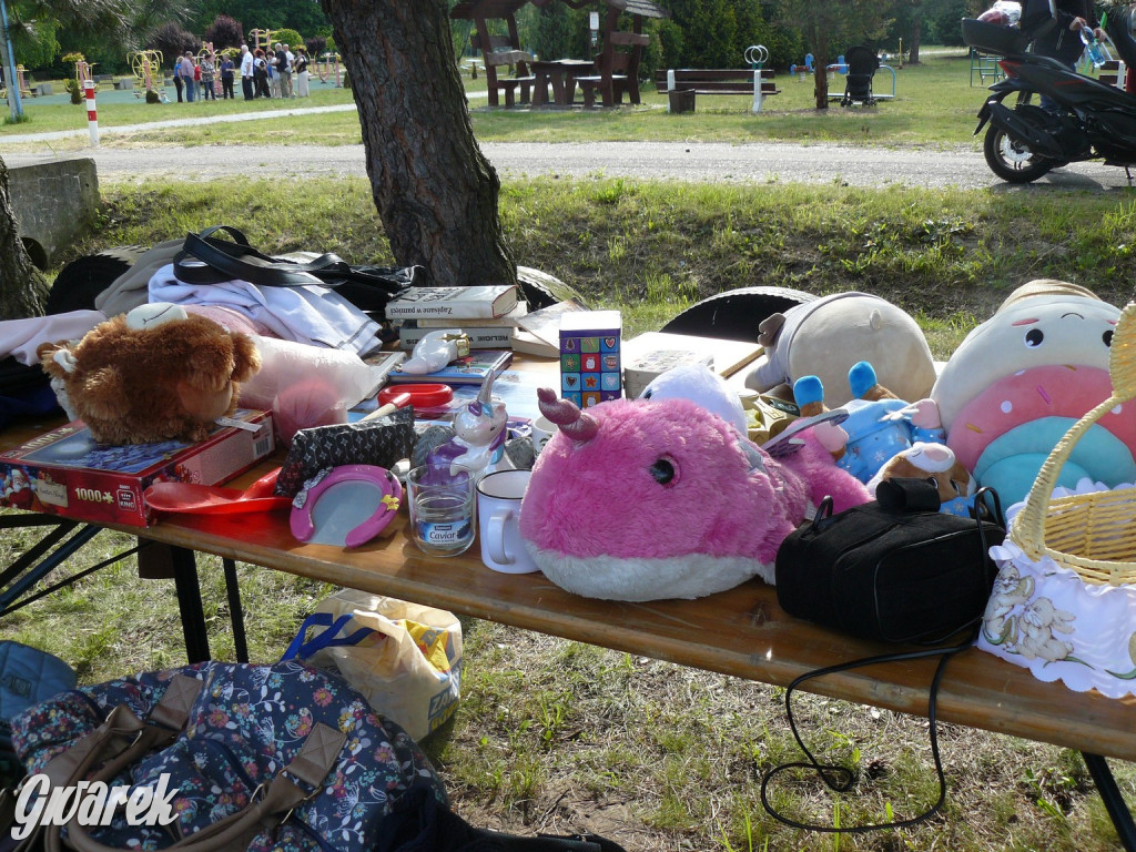 Zmobilizowali seniorów do integracji i aktywności