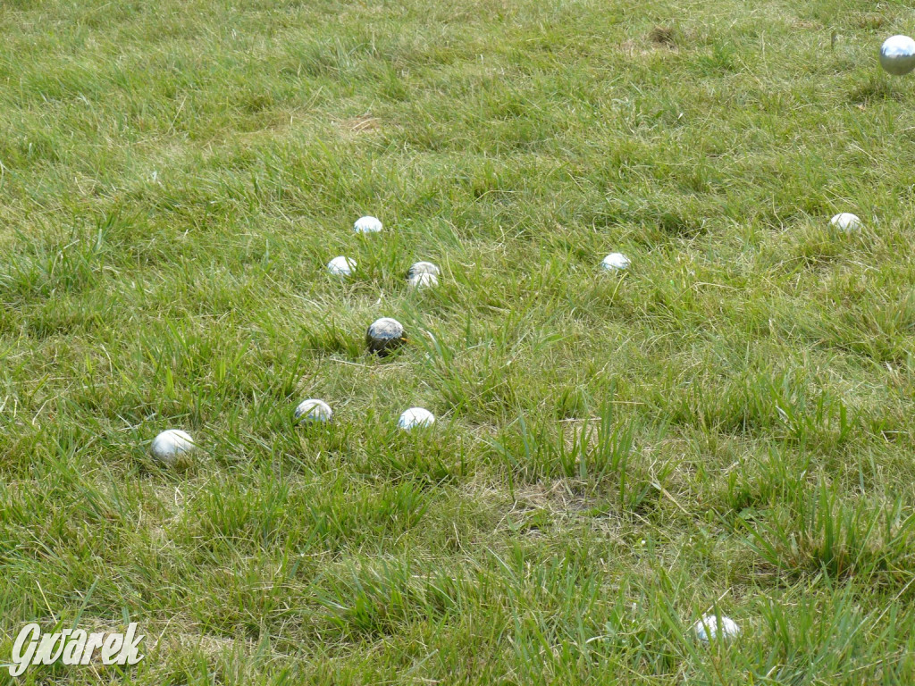 Zmobilizowali seniorów do integracji i aktywności