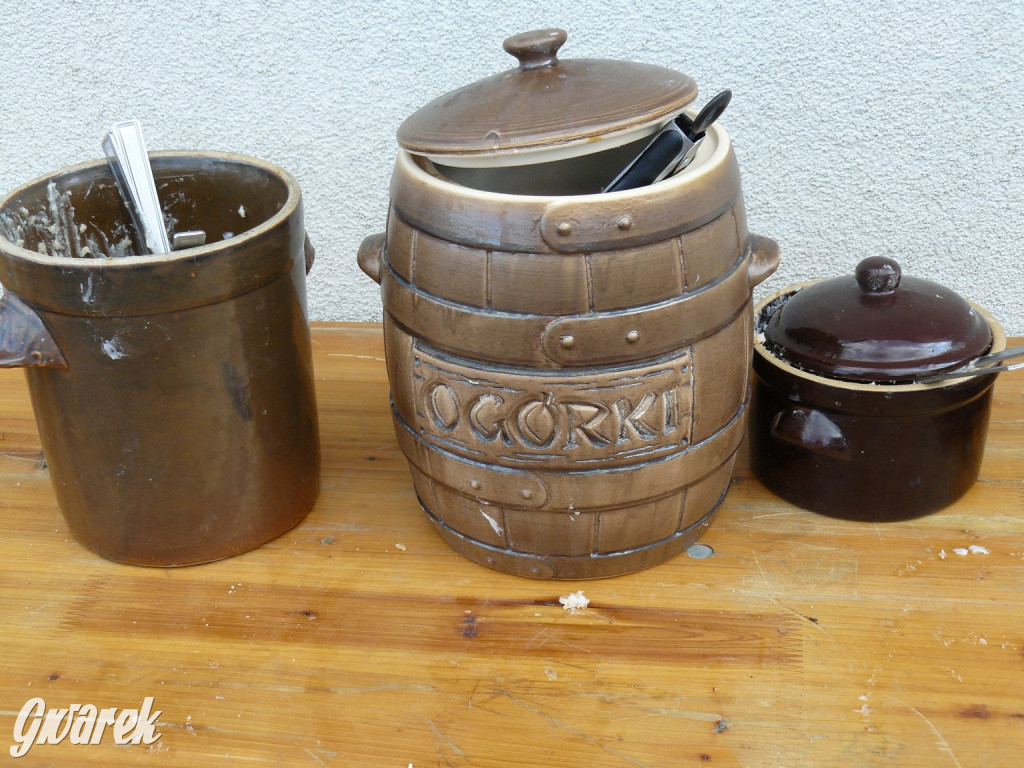 Zmobilizowali seniorów do integracji i aktywności