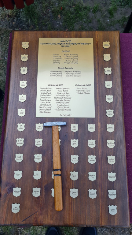 Obchody 100-lecia OSP Brynica [FOTO]