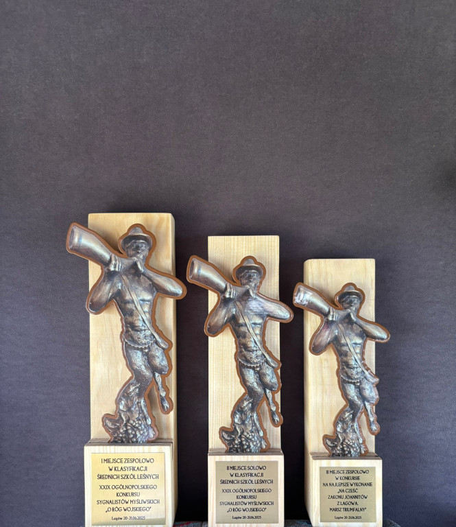 Sukcesy Technikum Leśnego w Brynku!