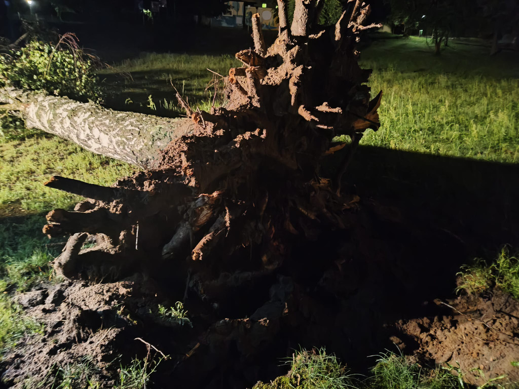 Powiat tarnogórski. Interwencje przez cały dzień