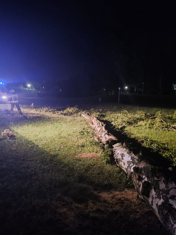 Powiat tarnogórski. Interwencje przez cały dzień