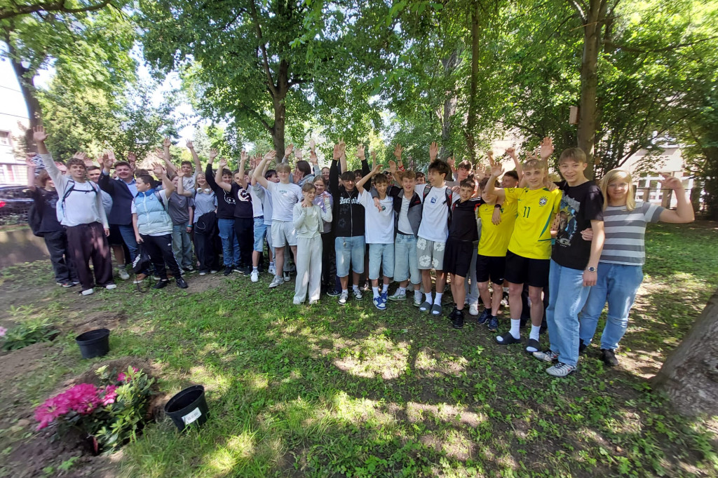 Tarnowskie Góry. Rododendrony i kapsuła pamięci