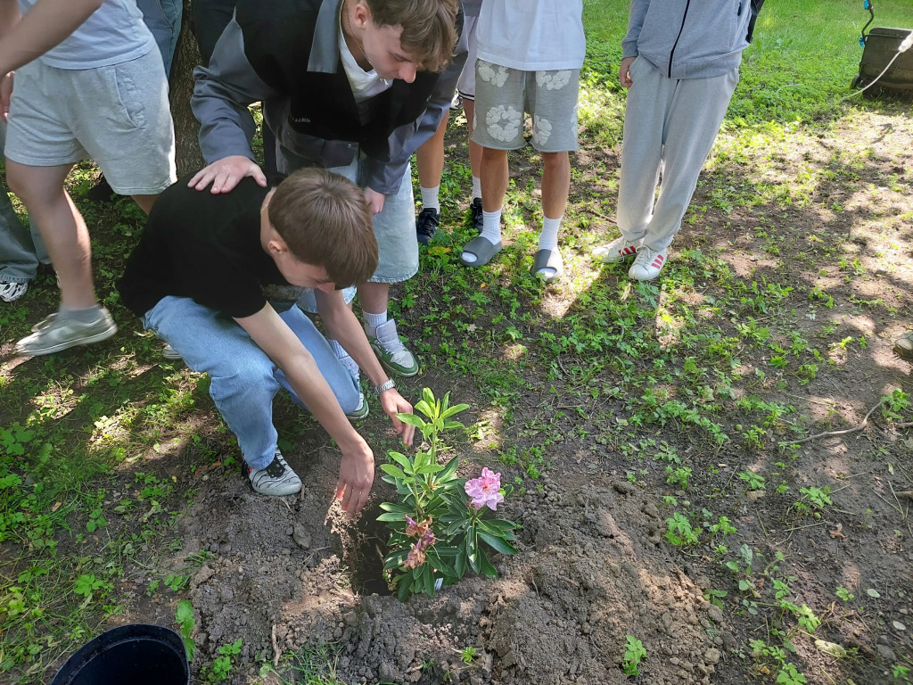 Tarnowskie Góry. Rododendrony i kapsuła pamięci