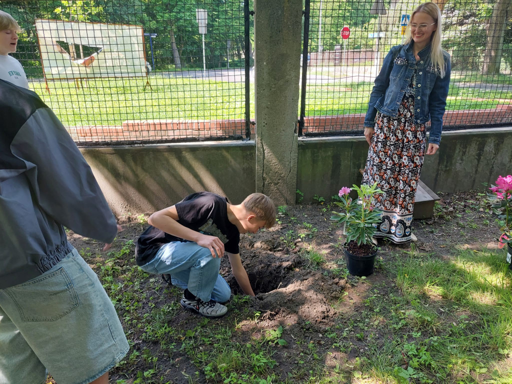 Tarnowskie Góry. Rododendrony i kapsuła pamięci