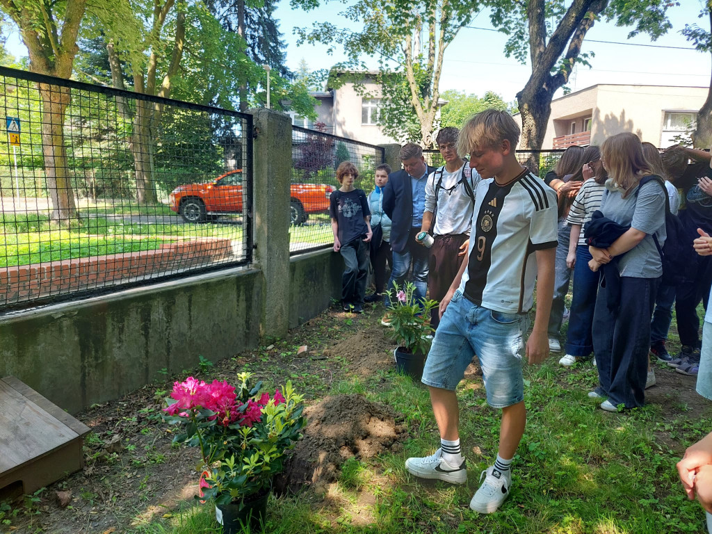 Tarnowskie Góry. Rododendrony i kapsuła pamięci