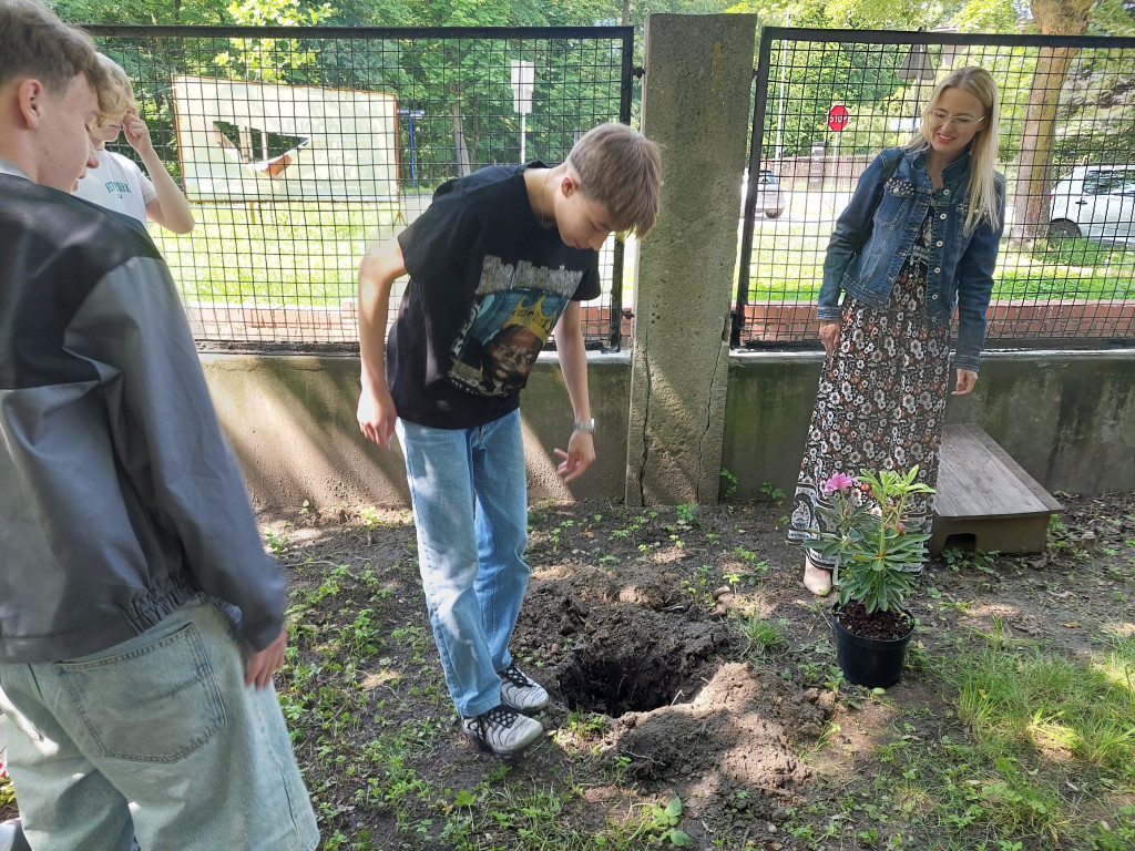 Tarnowskie Góry. Rododendrony i kapsuła pamięci