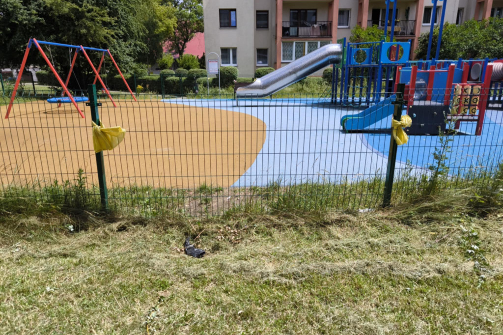 Tarnowskie Góry, Fazos. Skargi na stan placu zabaw