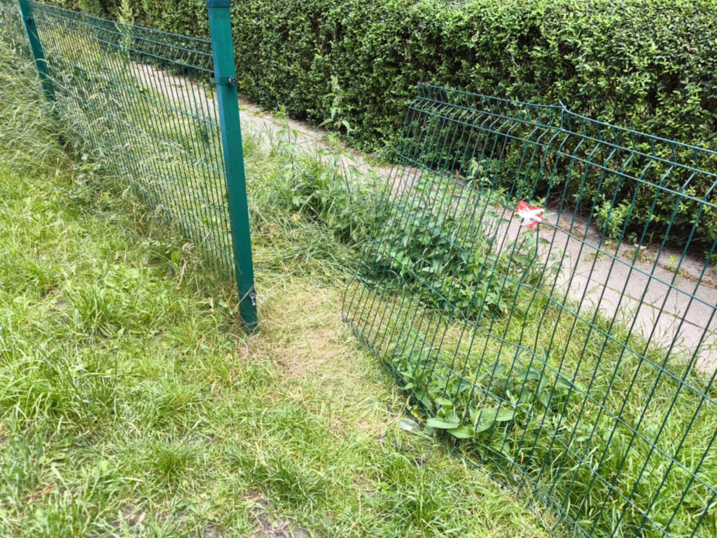 Tarnowskie Góry, Fazos. Skargi na stan placu zabaw