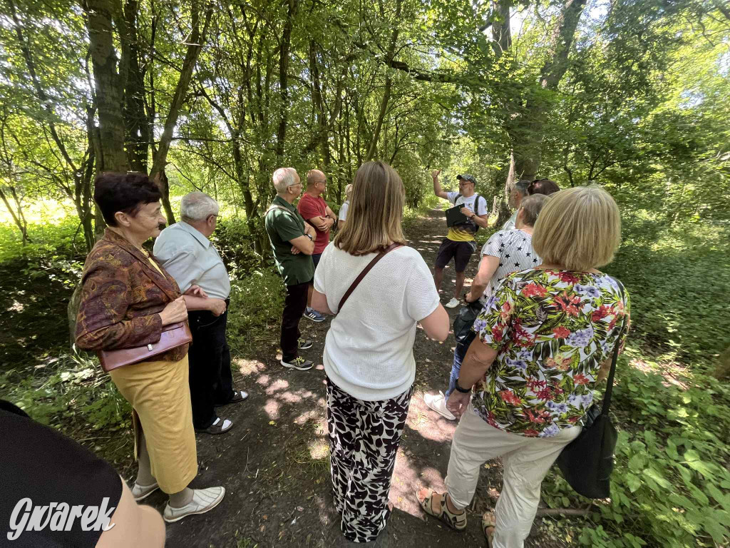 Rybna. Pochówek za życia i inne mroki Hannowaldu