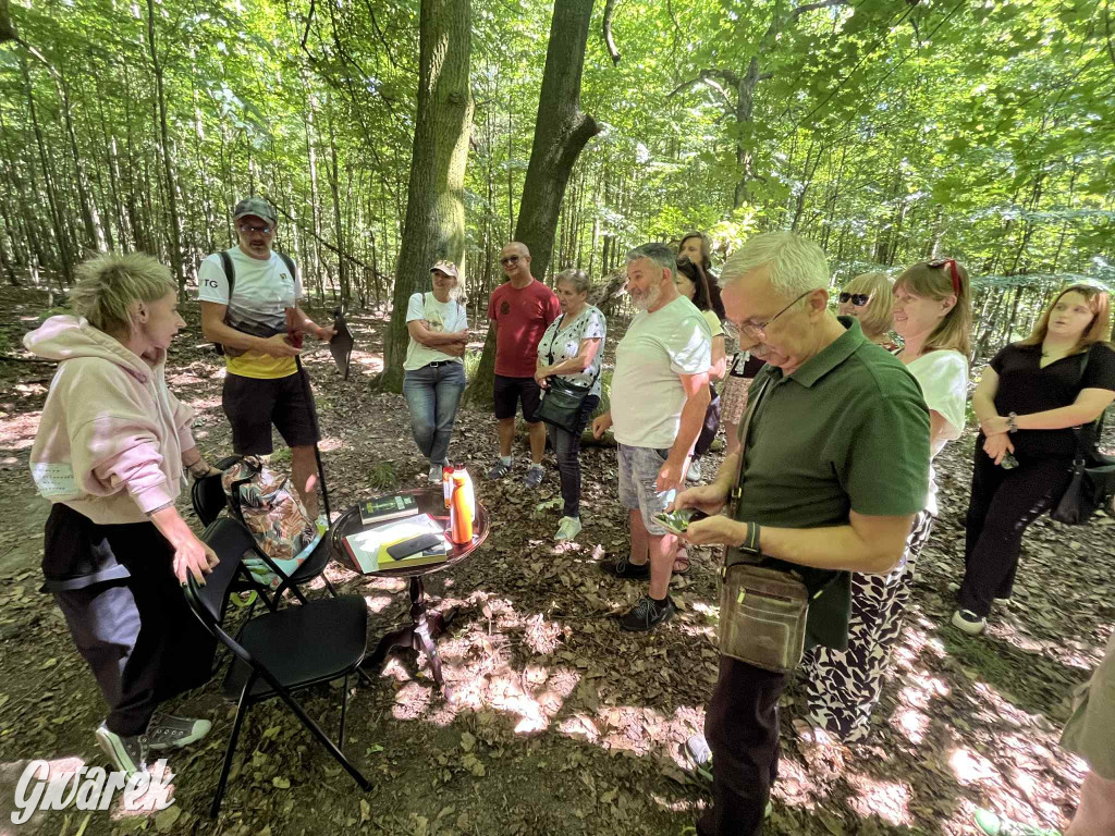 Rybna. Pochówek za życia i inne mroki Hannowaldu