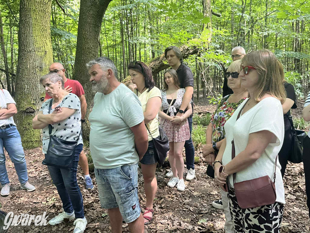 Rybna. Pochówek za życia i inne mroki Hannowaldu