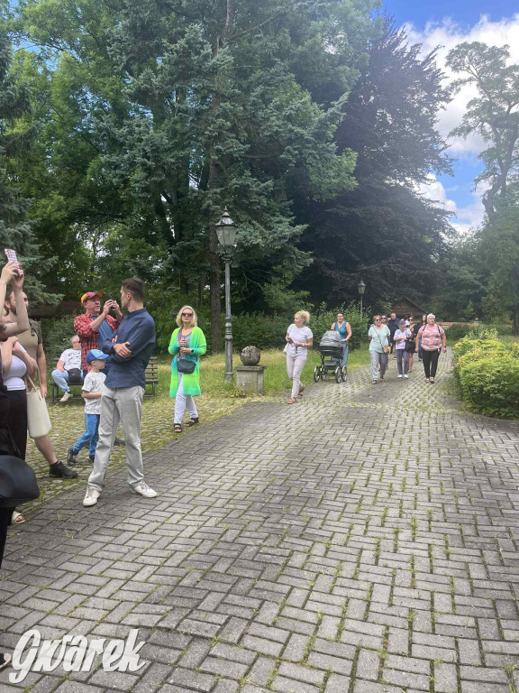 Budowę zlecił A. Baildon. Pałac zachwyca do dziś