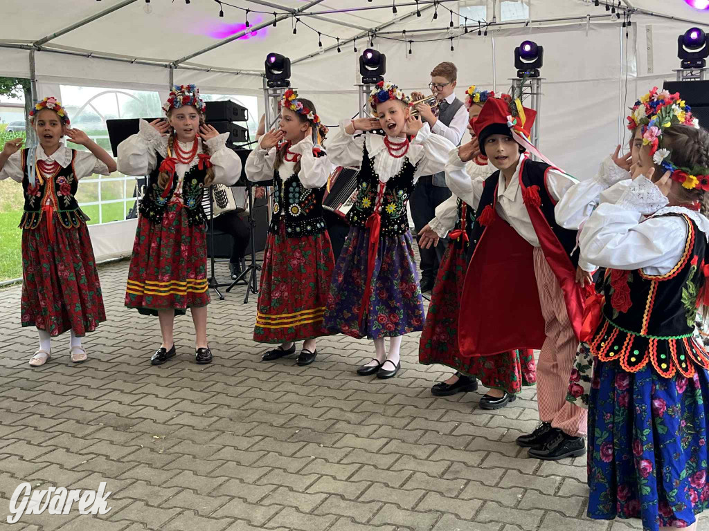 Druhowie z Wilkowic świętują jubileusz 90-lecia