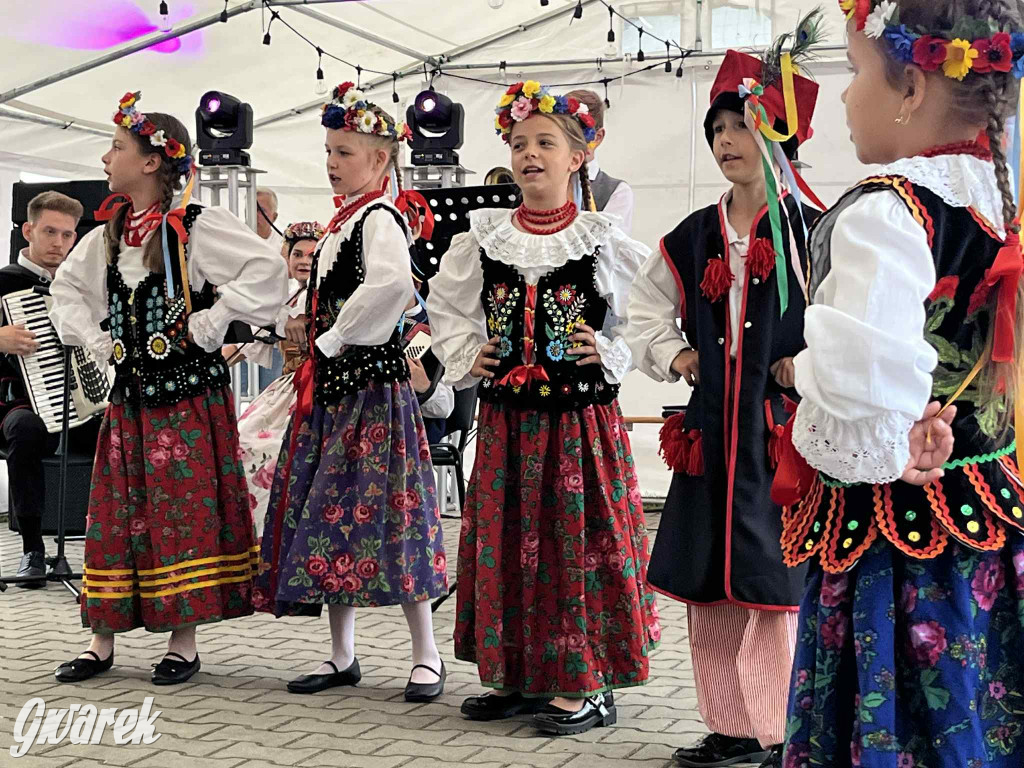 Druhowie z Wilkowic świętują jubileusz 90-lecia