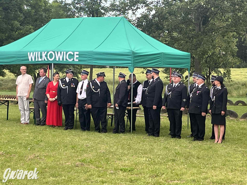 Druhowie z Wilkowic świętują jubileusz 90-lecia