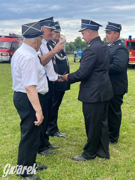 Druhowie z Wilkowic świętują jubileusz 90-lecia