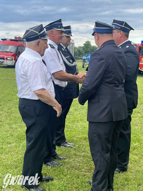 Druhowie z Wilkowic świętują jubileusz 90-lecia