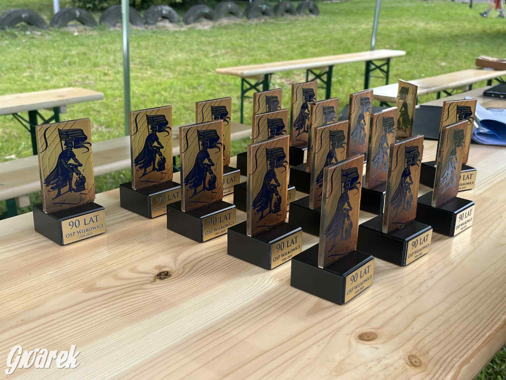 Druhowie z Wilkowic świętują jubileusz 90-lecia