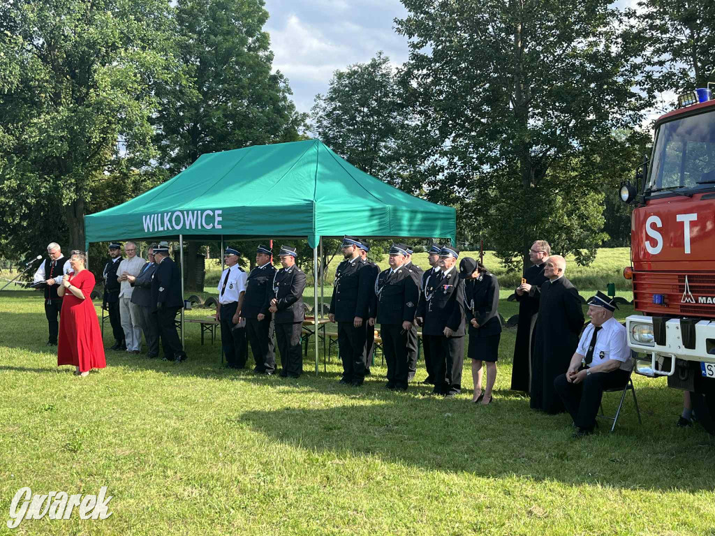 Druhowie z Wilkowic świętują jubileusz 90-lecia