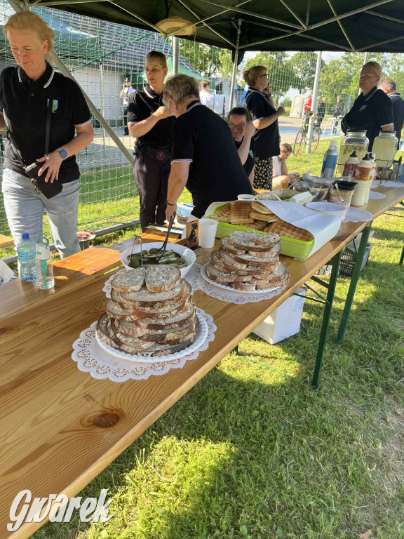 Druhowie z Wilkowic świętują jubileusz 90-lecia