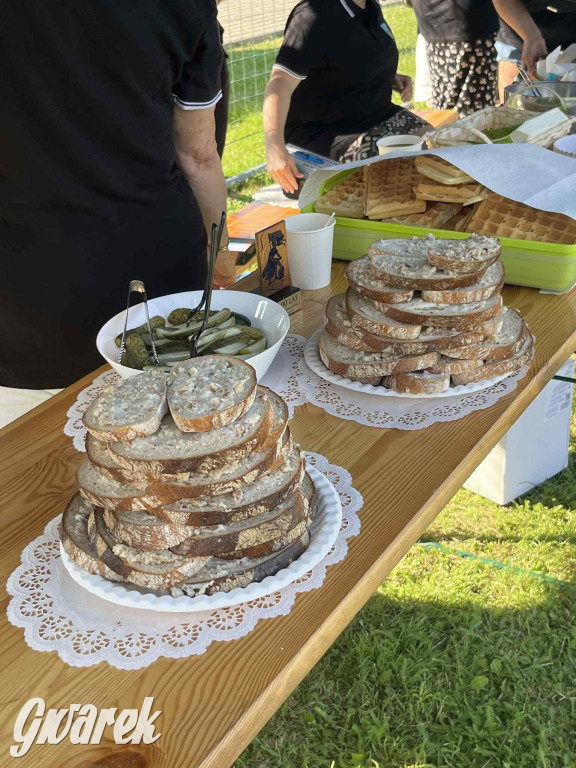 Druhowie z Wilkowic świętują jubileusz 90-lecia