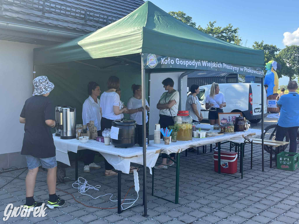 Druhowie z Wilkowic świętują jubileusz 90-lecia