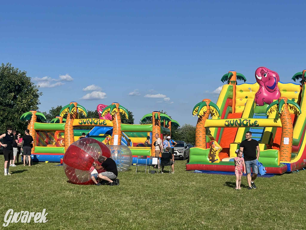 Druhowie z Wilkowic świętują jubileusz 90-lecia