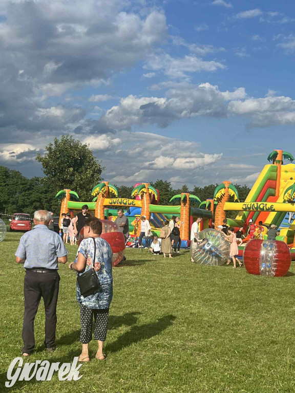 Druhowie z Wilkowic świętują jubileusz 90-lecia