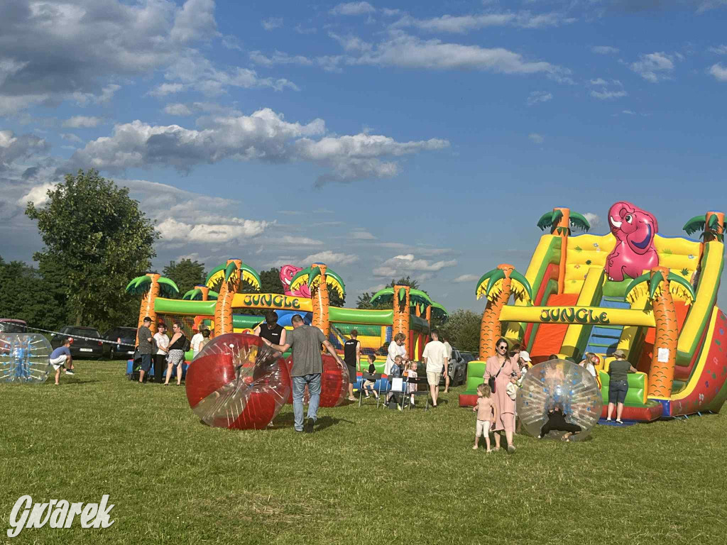 Druhowie z Wilkowic świętują jubileusz 90-lecia