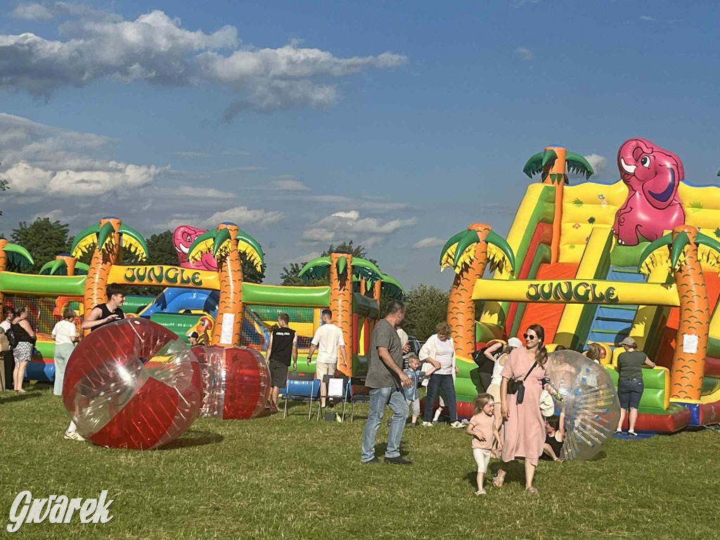 Druhowie z Wilkowic świętują jubileusz 90-lecia