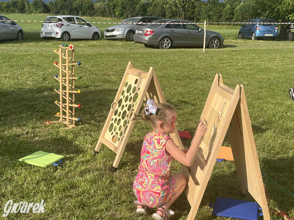 Druhowie z Wilkowic świętują jubileusz 90-lecia