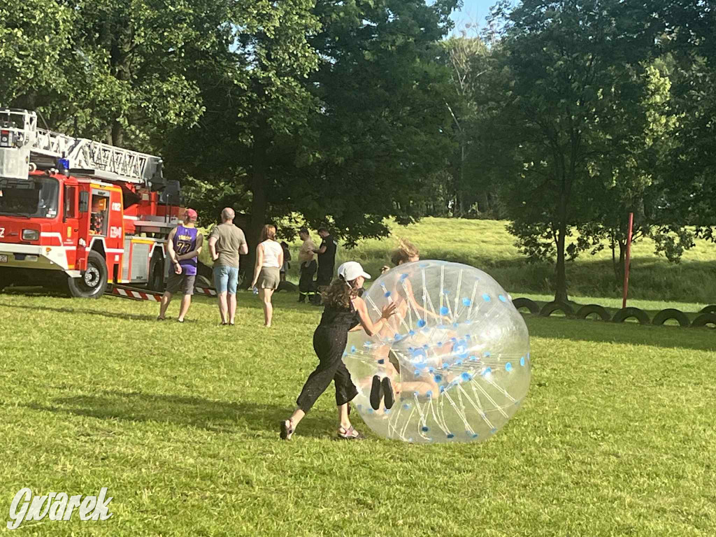 Druhowie z Wilkowic świętują jubileusz 90-lecia