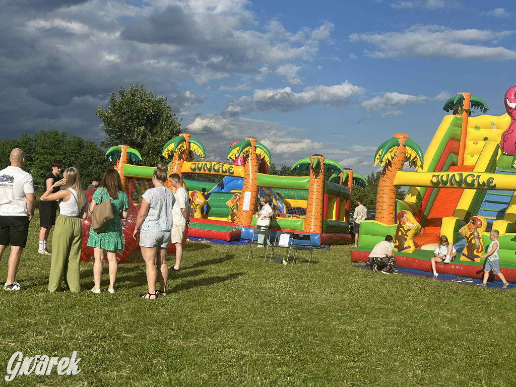 Druhowie z Wilkowic świętują jubileusz 90-lecia