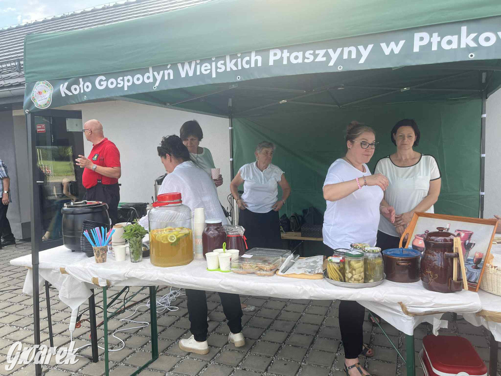 Druhowie z Wilkowic świętują jubileusz 90-lecia