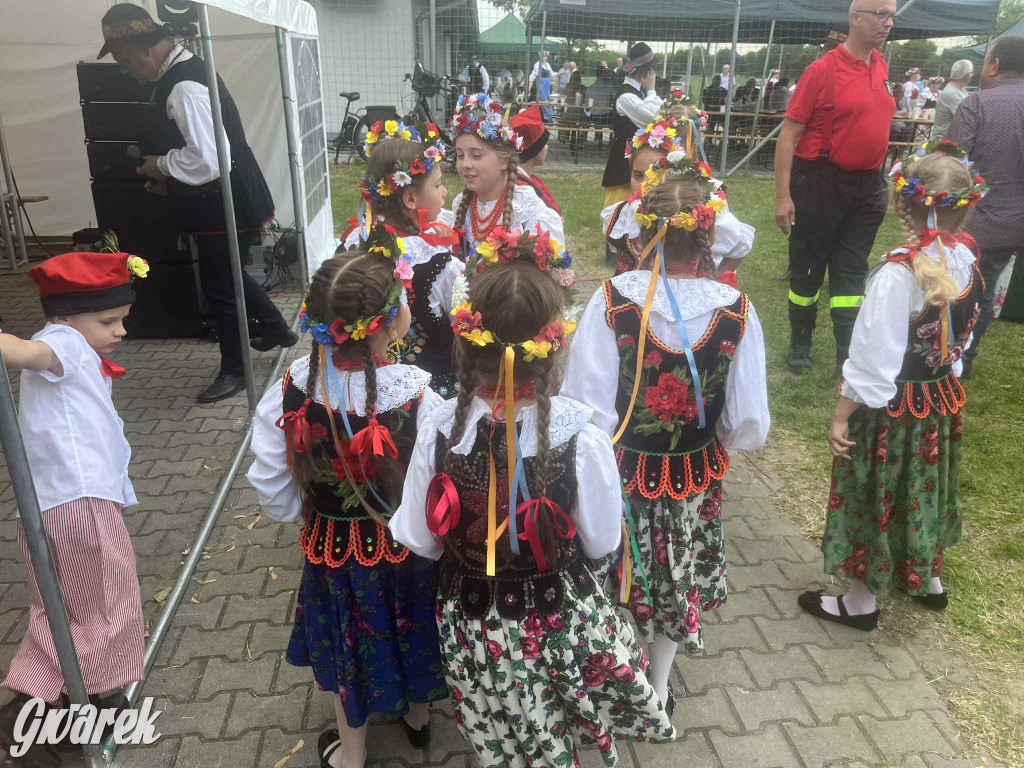 Druhowie z Wilkowic świętują jubileusz 90-lecia