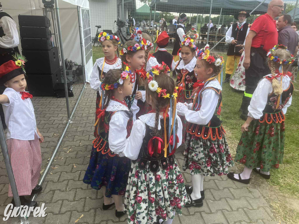 Druhowie z Wilkowic świętują jubileusz 90-lecia