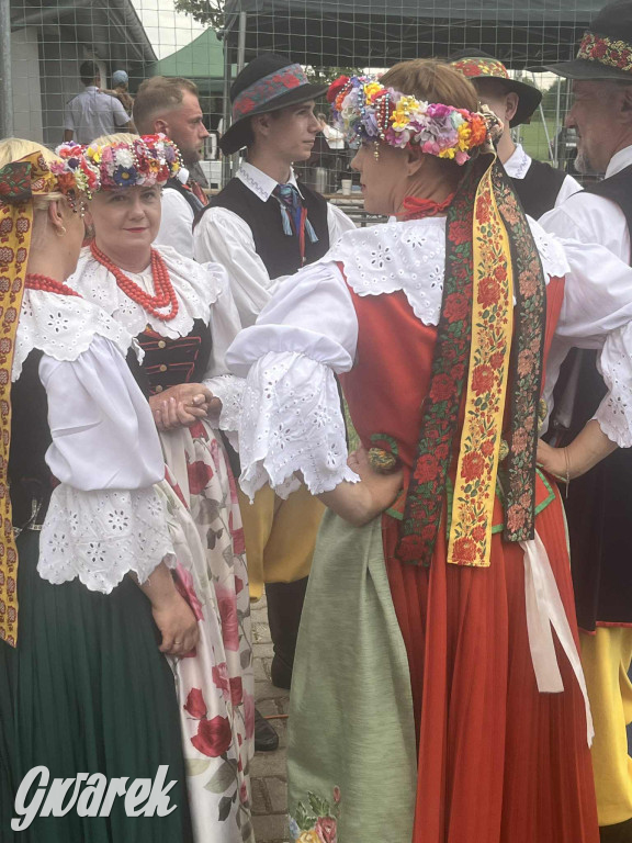 Druhowie z Wilkowic świętują jubileusz 90-lecia