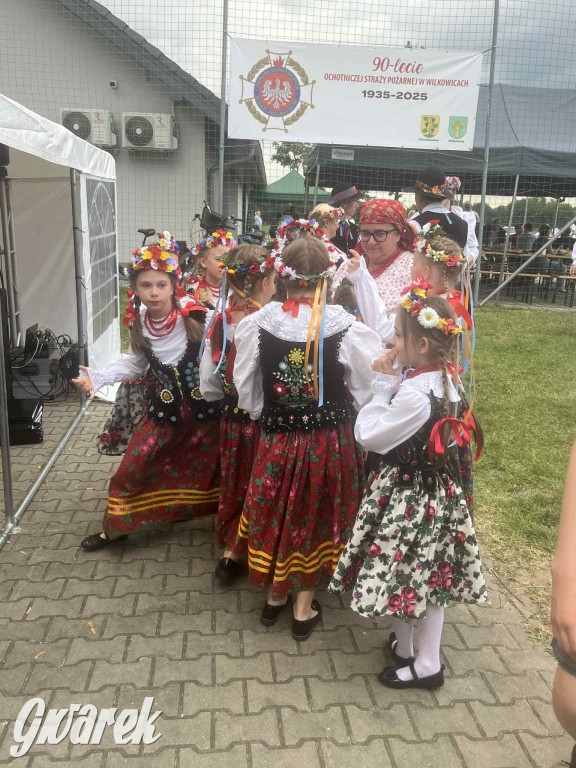 Druhowie z Wilkowic świętują jubileusz 90-lecia